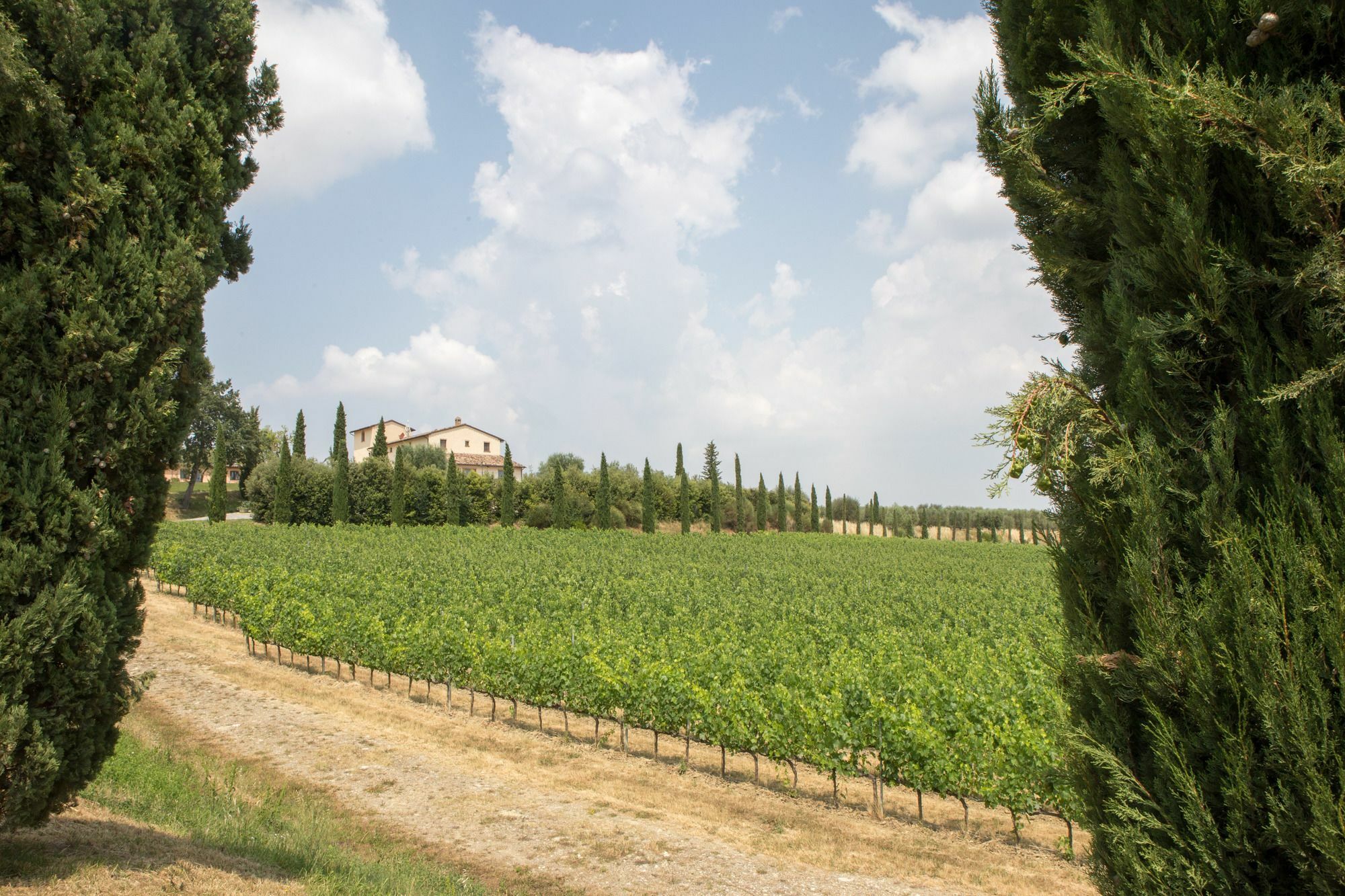 Le Buche Wine Resort&Spa Macciano Exterior foto