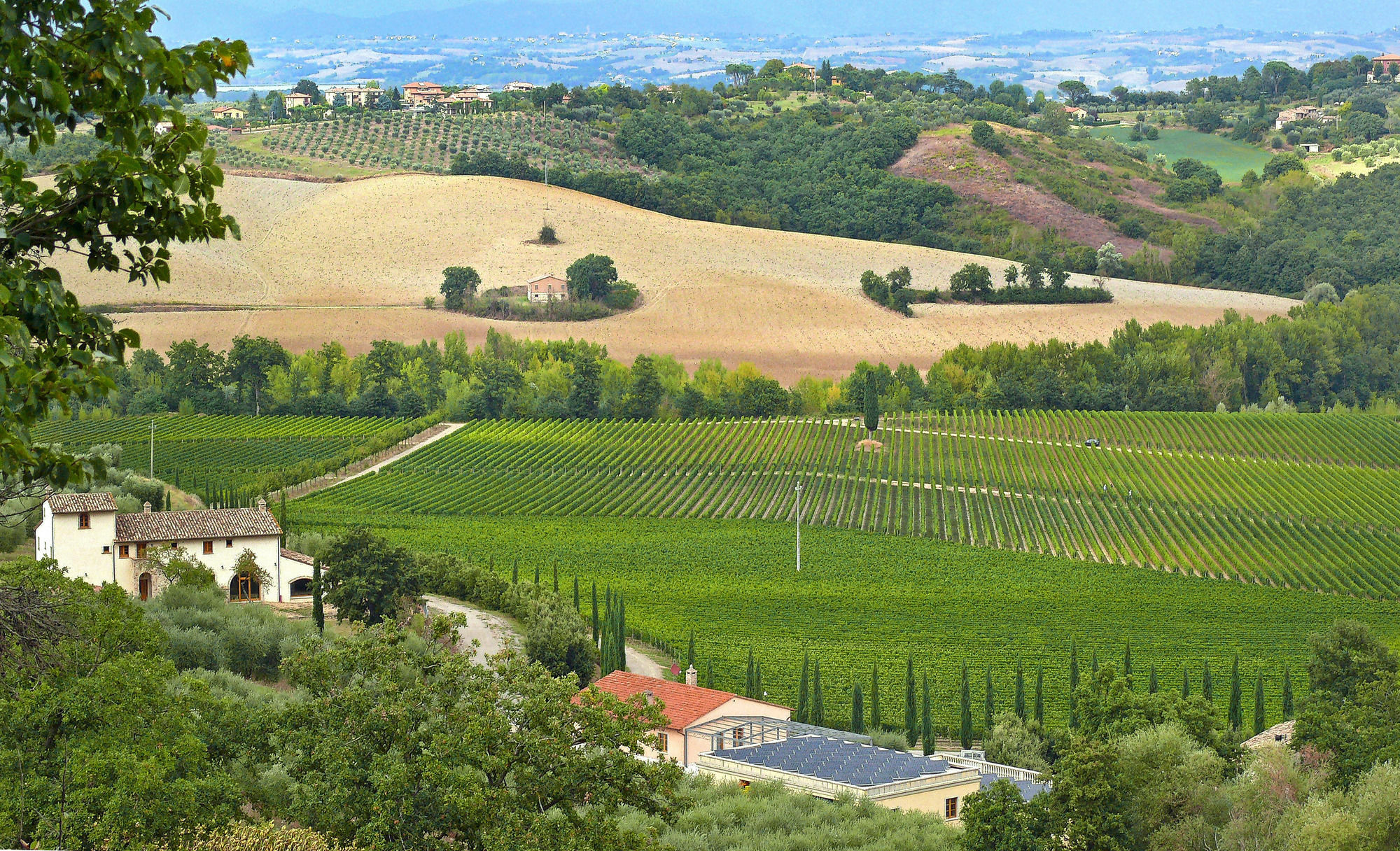 Le Buche Wine Resort&Spa Macciano Exterior foto